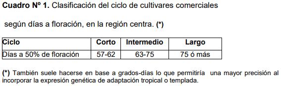 Variedades de sorgo para cada utilización y su manejo - Image 7
