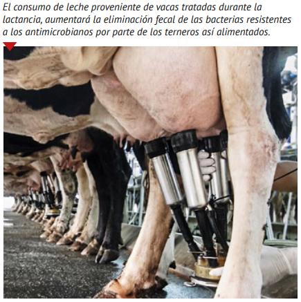La leche de descarte en la mira de la resistencia a los antibióticos - Image 4