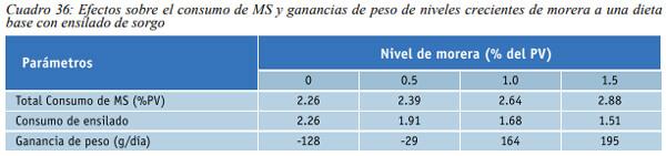 Especies arbóreas y arbustivas más utilizadas en la alimentación de rumiantes Arbustos y especies arbóreas - Image 16