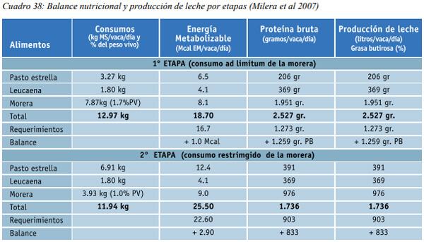 Especies arbóreas y arbustivas más utilizadas en la alimentación de rumiantes Arbustos y especies arbóreas - Image 18