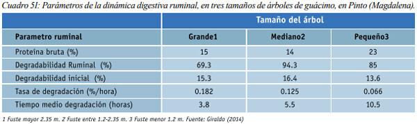 Especies arbóreas y arbustivas más utilizadas en la alimentación de rumiantes Arbustos y especies arbóreas - Image 33