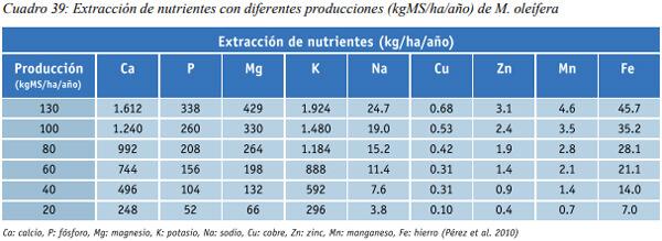 Especies arbóreas y arbustivas más utilizadas en la alimentación de rumiantes Arbustos y especies arbóreas - Image 19