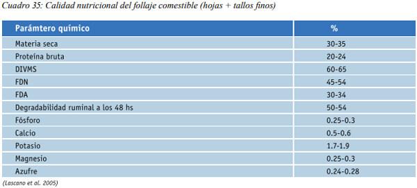Especies arbóreas y arbustivas más utilizadas en la alimentación de rumiantes Arbustos y especies arbóreas - Image 13
