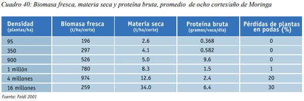 Especies arbóreas y arbustivas más utilizadas en la alimentación de rumiantes Arbustos y especies arbóreas - Image 20