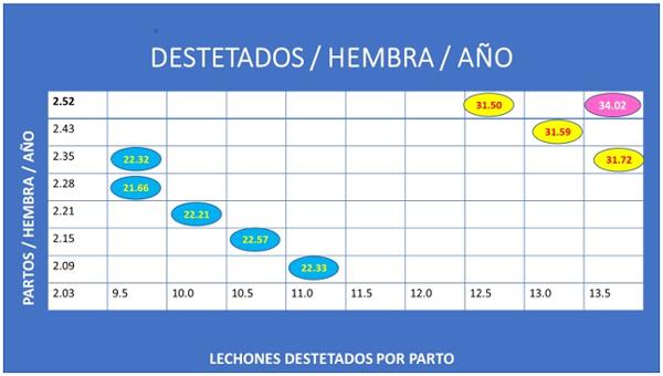 ¿Estas llegando a tu objetivo? - Image 2