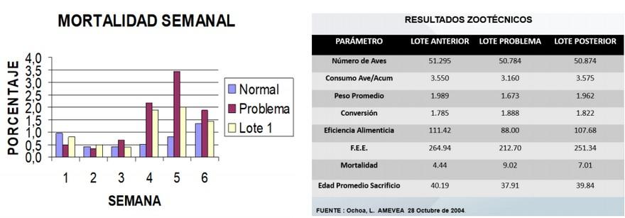 Sistema integral de evaluación de lesiones a la necropsia - SIEN - Image 14