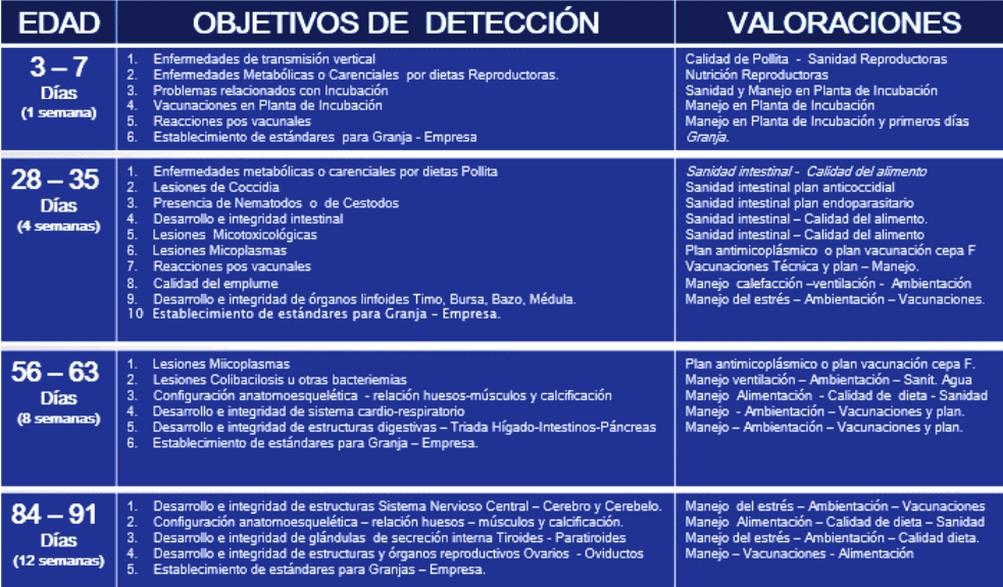 Sistema integral de evaluación de lesiones a la necropsia - SIEN - Image 3