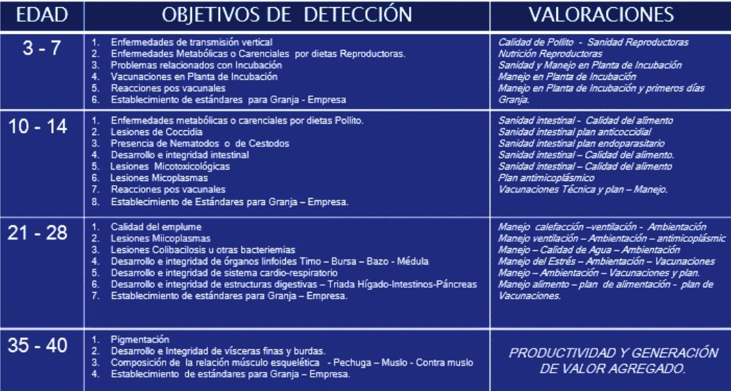 Sistema integral de evaluación de lesiones a la necropsia - SIEN - Image 1