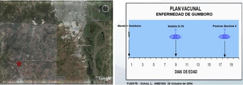 Sistema integral de evaluación de lesiones a la necropsia - SIEN - Image 12