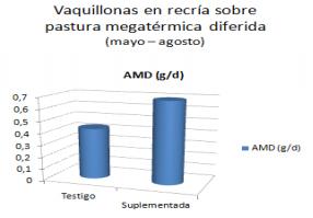 Uso de expeller de soja en bovinos para carne - Image 1