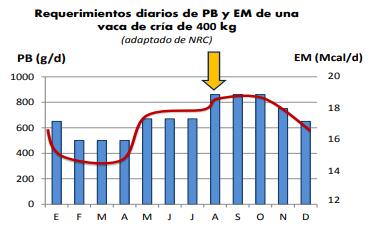 Uso de expeller de soja en bovinos para carne - Image 2