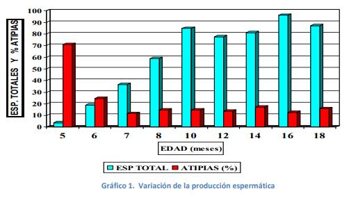 Comportamiento reproductivo del cerdo en Venezuela efecto de la época - Image 2