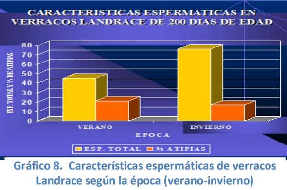 Comportamiento reproductivo del cerdo en Venezuela efecto de la época - Image 8