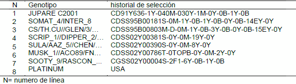 Evaluación de materiales de trigo cristalino en distintas fechas de siembra - Image 1