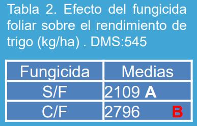 Manejo de la roya amarilla causada por Puccinia striiformis en trigo (Triticum aestivum L.) bajo diferentes niveles de fertilización nitrogenada en el norte de la provincia de Buenos Aires. - Image 5