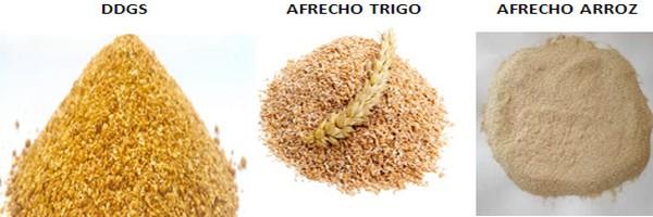 Las Carbohidrasas son las Enzimas del Futuro en la alimentación animal - Image 1