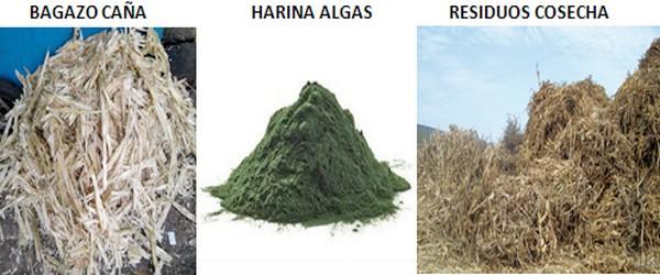 Las Carbohidrasas son las Enzimas del Futuro en la alimentación animal - Image 3