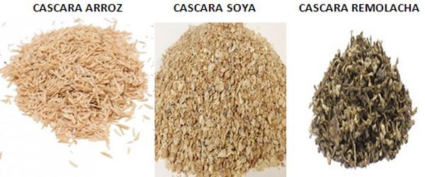 Las Carbohidrasas son las Enzimas del Futuro en la alimentación animal - Image 2