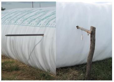 Autoconsumo de silo en el tambo: una alternativa a tener en cuenta - Image 3