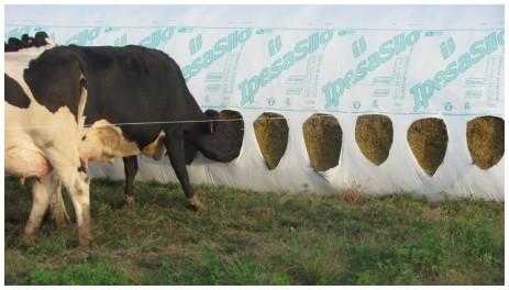 Autoconsumo de silo en el tambo: una alternativa a tener en cuenta - Image 4