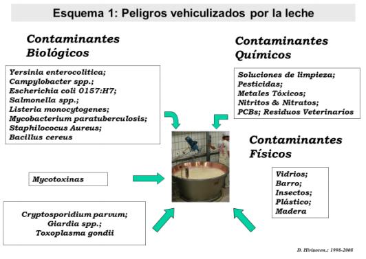 En la senda de la calidad e inocuidad de la leche - Image 1