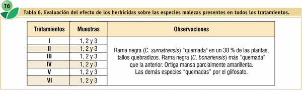Efecto de dos coadyuvantes en el control de malezas en barbecho químico con dos técnicas de pulverización terrestre - Image 15