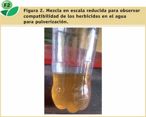Efecto de dos coadyuvantes en el control de malezas en barbecho químico con dos técnicas de pulverización terrestre - Image 5