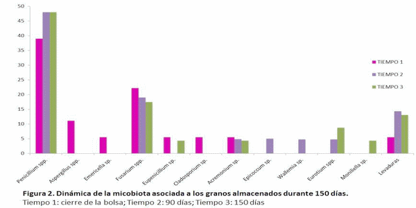 Máiz en Silos Bolsa: comportamiento de los hongos micotoxigénicos durante el almacenamiento - Image 3