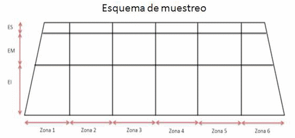 Máiz en Silos Bolsa: comportamiento de los hongos micotoxigénicos durante el almacenamiento - Image 1