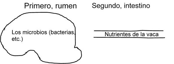 El uso de ingredientes de calidad extruidos en seco con alta fricción en las formulaciones lecheras durante las cambiantes condiciones de los mercados en América Latina - Image 1