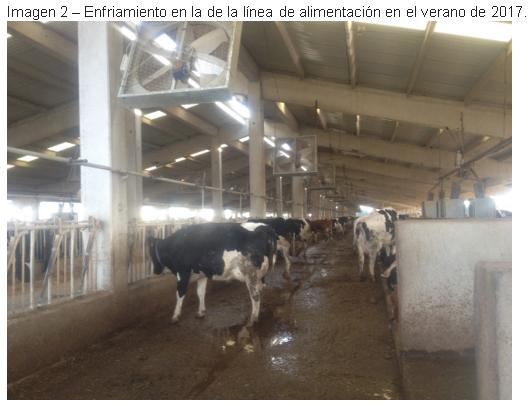 Enfriamiento de vacas Ozlem dairy farm, Turquía - Image 6