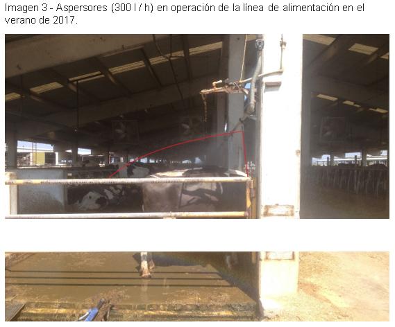 Enfriamiento de vacas Ozlem dairy farm, Turquía - Image 7