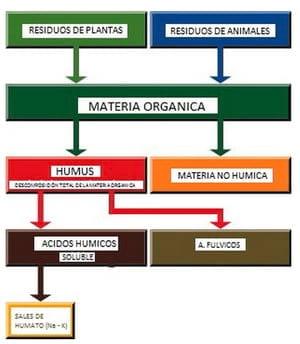 Comparación del rendimiento y engorde de la Sal de Humato vs. un Antibiótico Promotor de Crecimiento. (Bacitracina) en Pollos de Engorde - Image 1