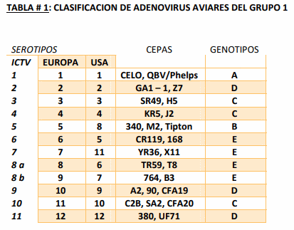 Evaluación diagnostica de situaciones clínicas de inmunosupresión en pollos de engorde: Hepatitis por Cuerpos de Inclusión y posibles enfermedades coadyuvantes - Image 1
