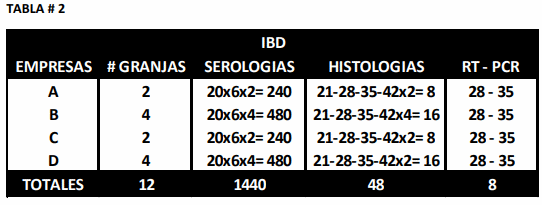 Evaluación diagnostica de situaciones clínicas de inmunosupresión en pollos de engorde: Hepatitis por Cuerpos de Inclusión y posibles enfermedades coadyuvantes - Image 2