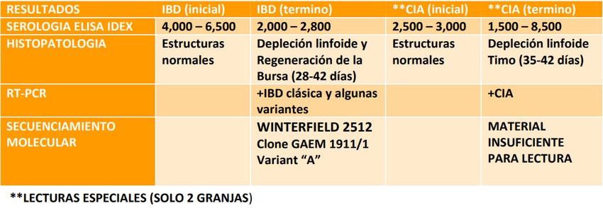 Evaluación diagnostica de situaciones clínicas de inmunosupresión en pollos de engorde: Hepatitis por Cuerpos de Inclusión y posibles enfermedades coadyuvantes - Image 13