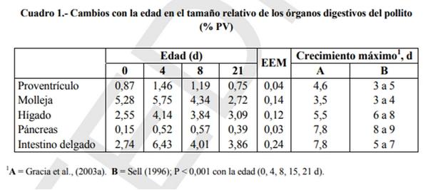 Producción de pollos de engorde sin antibióticos promotores de crecimiento (APC) - Image 6