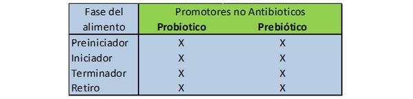 Producción de pollos de engorde sin antibióticos promotores de crecimiento (APC) - Image 8