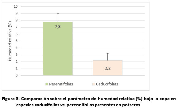 El uso de la sombra de árboles para atenuar el efecto del estrés calórico en el ganado - Image 4