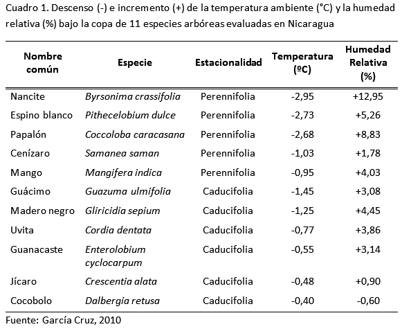 El uso de la sombra de árboles para atenuar el efecto del estrés calórico en el ganado - Image 1