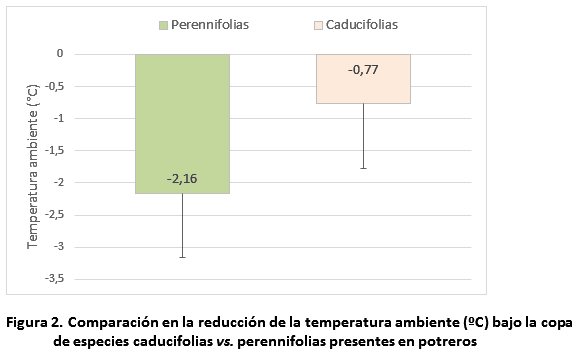 El uso de la sombra de árboles para atenuar el efecto del estrés calórico en el ganado - Image 3