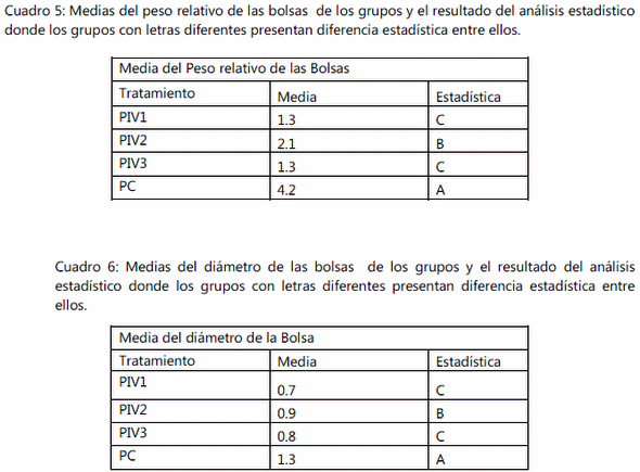 Estudio comparativo para determinar los cambios producidos por tres vacunas elaboradas con diferentes tecnologías con el virus de la infeccion de la bolsa de fabricio. - Image 5