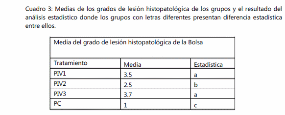 Estudio comparativo para determinar los cambios producidos por tres vacunas elaboradas con diferentes tecnologías con el virus de la infeccion de la bolsa de fabricio. - Image 3