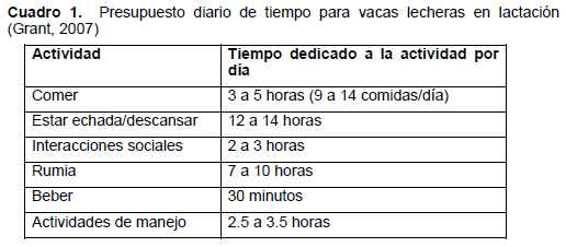 Bienestar Lechero: Utilizar el Bienestar Animal para Mejorar el Desempeño - Image 1