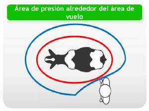 ¿Estamos dando el confort adecuado? - Image 3