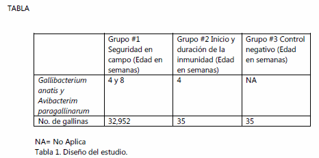 Estudio de campo determinación del inicio y duración de la inmunidad de la fracción gallibacterium anatis inducida por una vacuna comercial contra gallibacterium a. y la enfermedad de coriza en gallina de postura. - Image 1