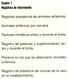 Queratoconjuntivitis Infecciosa Bovina (QIB) - Image 1