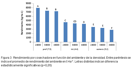 Densidad por ambiente: suelo somero y campaña sin lluvias - Image 3
