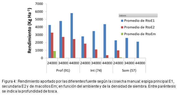 Densidad por ambiente: suelo somero y campaña sin lluvias - Image 4