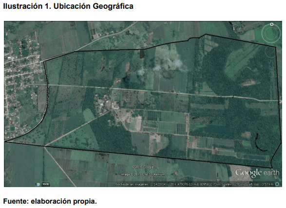 Evaluación de índices zootecnicos del hato bovino criollo saavedreño en el ciat en el periodo 2011-2014 - Image 1